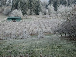 Farm in winter